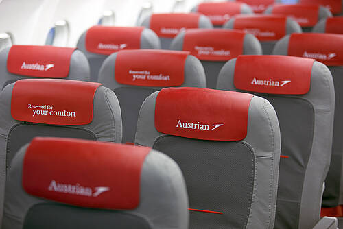 Austrian best sale airlines pets